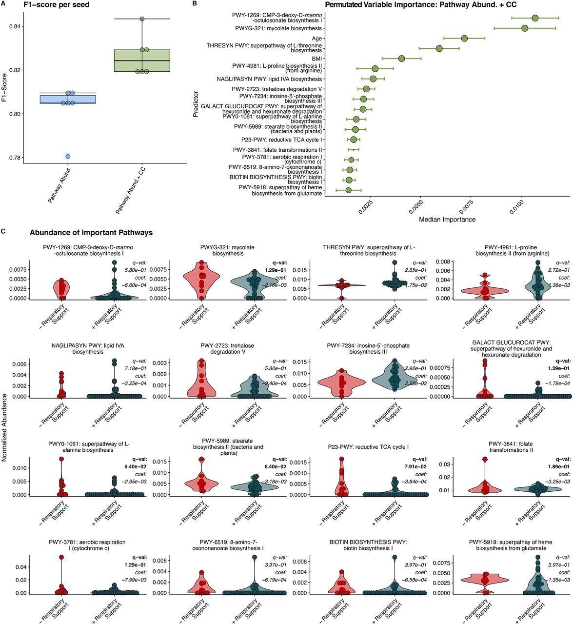 Random Forest Classification Using Metabolic Pathways. A) F1 scores of RFC models built on relative abundance of detected metabolic pathways and clinical covariates (CC). B) Median relative importance of variables in predicating the need for respiratory support within the trained with relative pathway abundances and clinical covariates (median importance ± median absolute deviation). C) Relative abundance of detected metabolic pathways in individuals requiring respiratory support and those not requiring respiratory support. MaAsLin2 derived q-values and coefficients are displayed for each pathway. Significant q values (q < 0.25) are bolded.