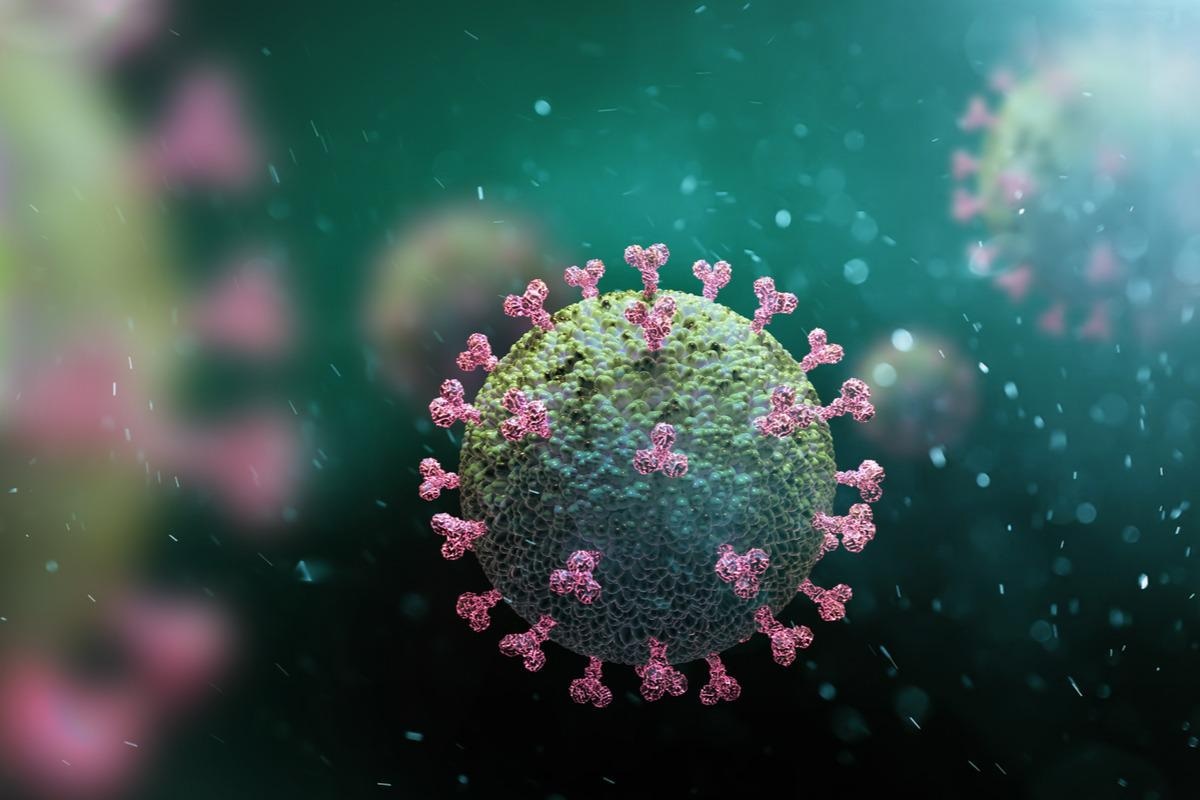 Study: Nucleocapsid-specific humoral responses improve the control of SARS-CoV-2. Image Credit: Andrii Vodolazhskyi/Shutterstock