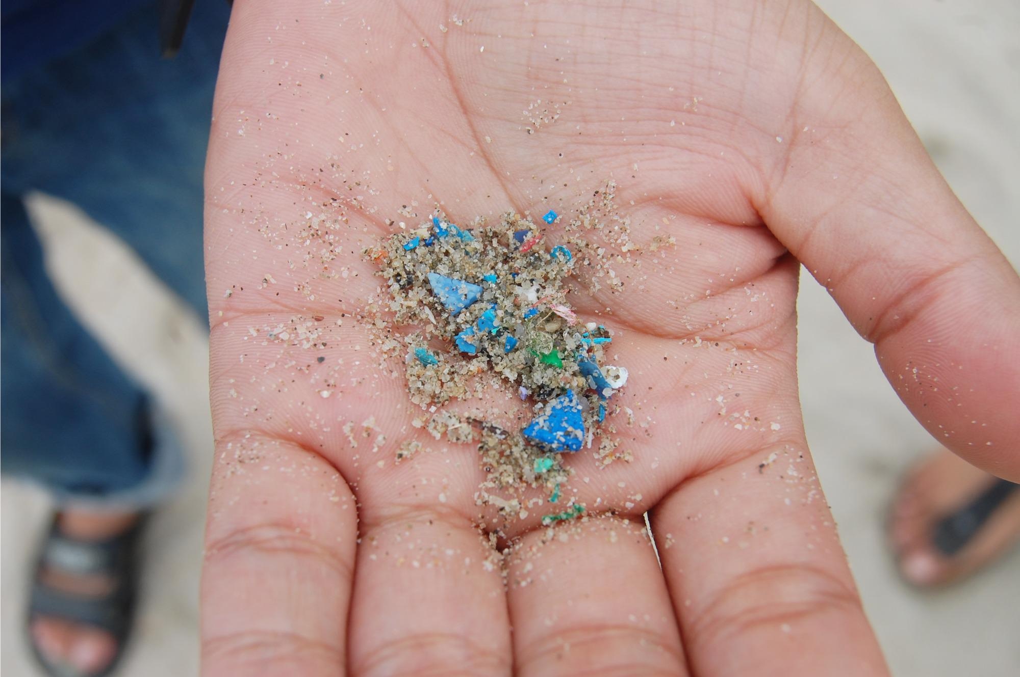 Study: Toxic impact of polystyrene microplastic particles in freshwater organisms. Image Credit: