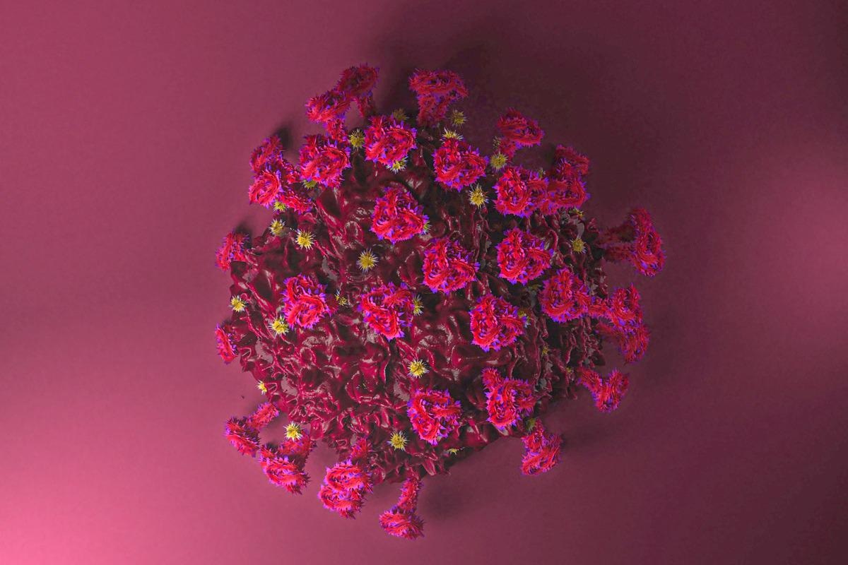 Study: Cellulosic copper nanoparticles and a hydrogen peroxide-based disinfectant protect Vero E6 cells against infection by viral pseudotyped particles expressing SARS-CoV-2, SARS-CoV or MERS-CoV Spike protein. Image Credit: Matthias Friel/Shutterstock