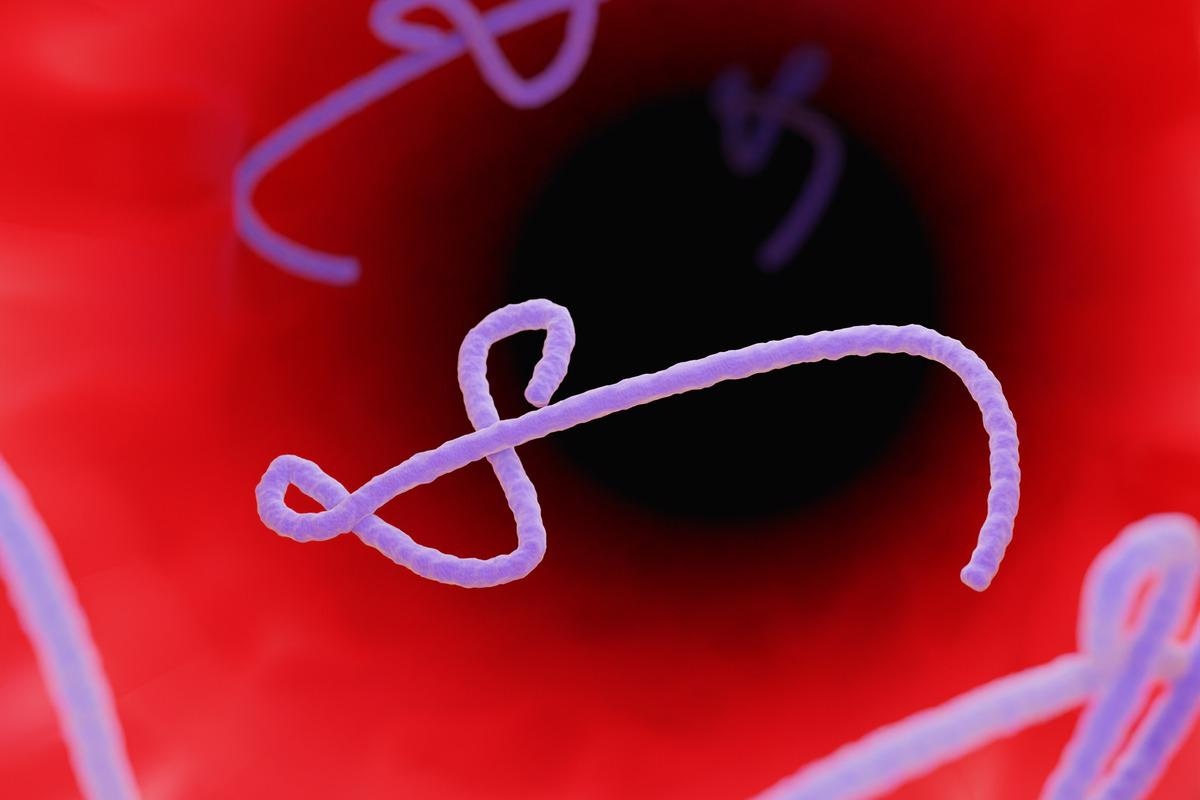 Study: Development and Structural Analysis of Antibody Therapeutics for Filoviruses. Image Credit: Signal Scientific Visuals / Shutterstock.com