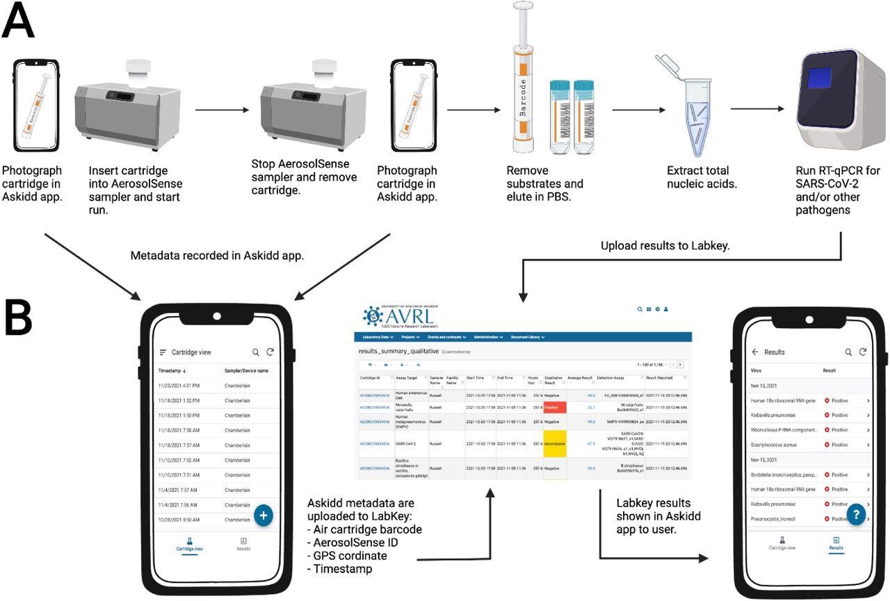 Air sample testing workflow.
