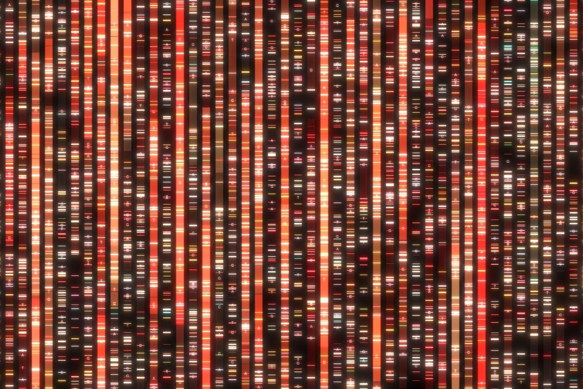 Study: SARS-CoV-2 and human retroelements: a case for molecular mimicry? Image Credit: Immersion Imagery / Shutterstock.com