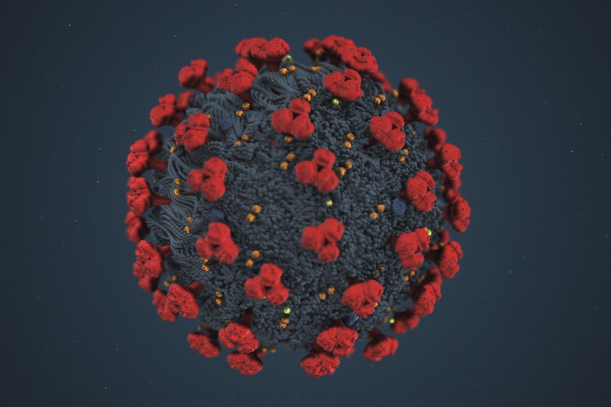 Study: The Spike Protein Of SARS-Cov-2 Impairs Lipid Metabolism and Increases Susceptibility to Lipotoxicity: Implication tor A Role of Nrf2. Image Credit: Skif_Nomad / Shutterstock.com