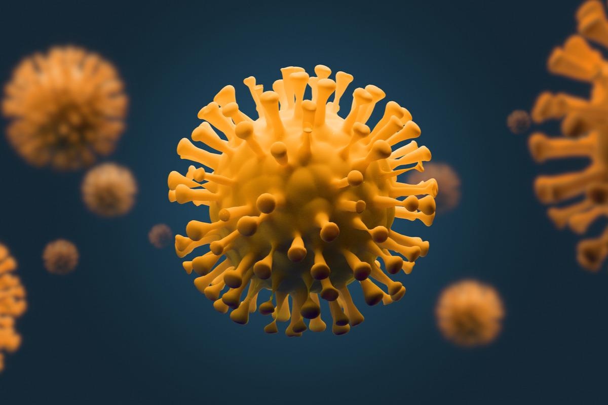 Study: Nonstructural protein 1 (nsp1) widespread RNA decay phenotype varies among Coronaviruses. Image Credit: joshimerbin/Shutterstock