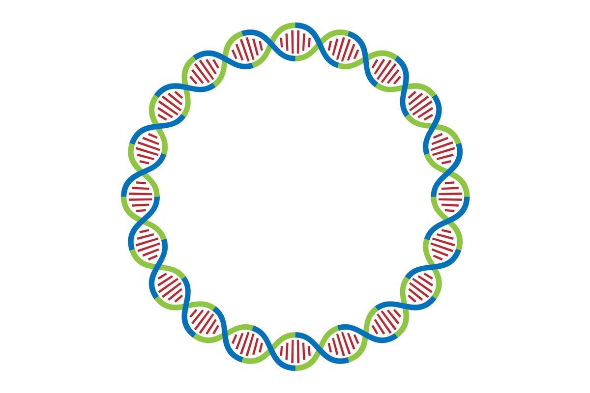 Study: What goes around comes around: artificial circular RNAs bypass cellular antiviral responses. Image Credit: Faithtree Studio/Shutterstock