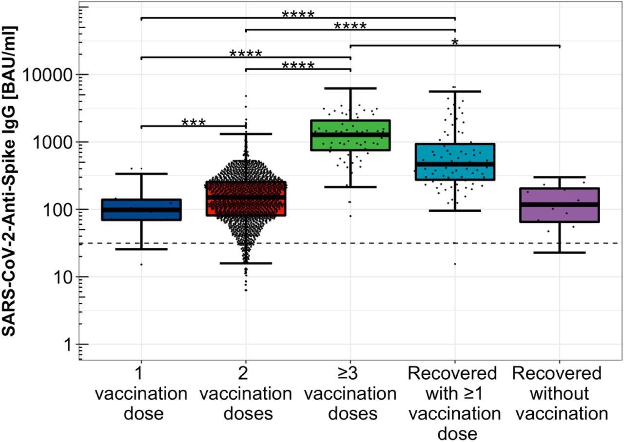 Distribution of Anti-SARS-CoV-2-Spike IgG levels depending on immunization scheme. Distribution of Anti-SARS-CoV-2-Spike IgG titers among single, double, and threefold COVID-19 vaccinated participants, only COVID-19 convalescent study participants as well as hybrid immunized participants including SARS-CoV-2 infection convalescence and COVID-19 vaccination, logarithmically scaled.