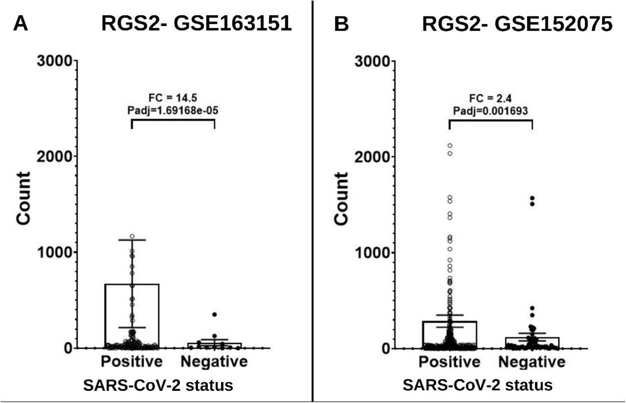 Expression levels of RGS2 mRNA from RNA-sequencing of nasopharyngeal swabs of SARS-CoV-2 positive patients and negative controls. (A) Dataset GSE163151: higher expression of RGS2 (FC= 14.5,