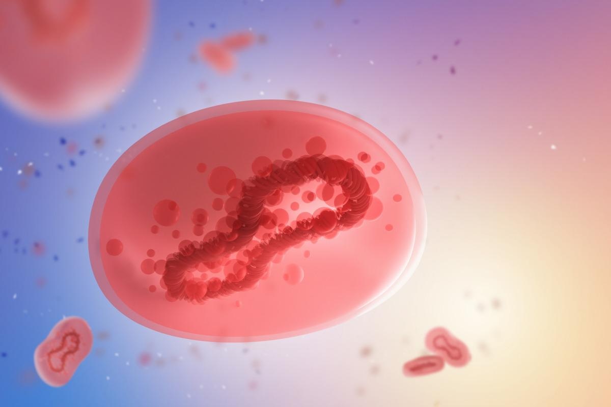 Study: Monkeypox viruses circulate in distantly-related small mammal species in the Democratic Republic of the Congo. Image Credit: FOTOGRIN/Shutterstock