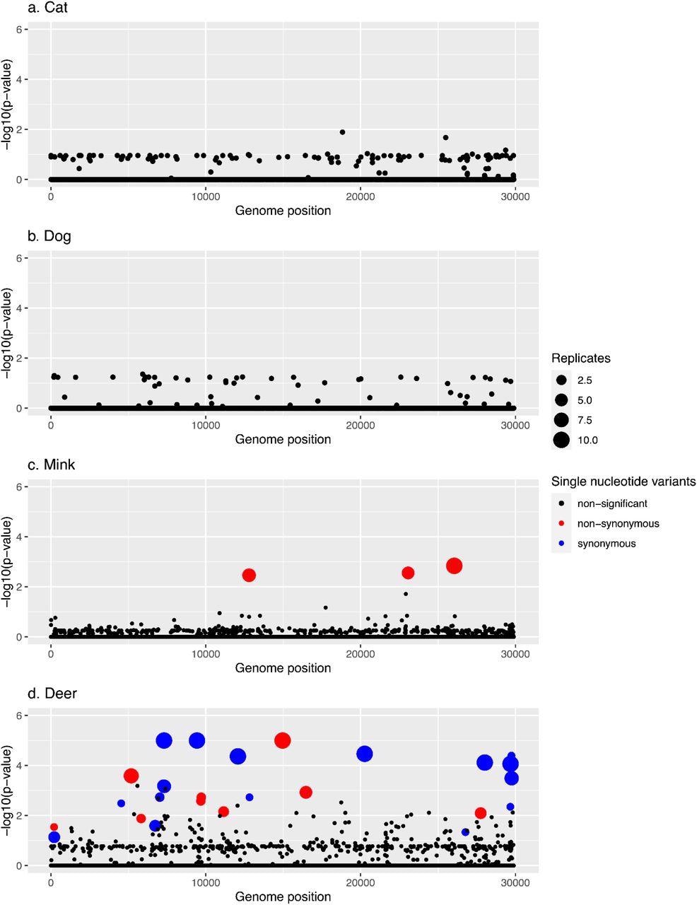 Manhattan plots summarizing GWAS hits in each animal species. In every panel, the x-axis represents the nucleotide position in the SARS-CoV-2 reference genome and the y-axis represents the -log10 of the pointwise p-values averaged over replicates. Statistically significant hits with family-wise corrected p-values of lower than 0.05 are shown in red (non-synonymous) or blue (synonymous), while non-statistically significant p-values are in black.