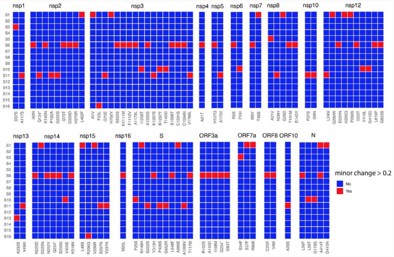 Heat map of non-synonymous changes at the minor variant level in SARS-CoV-2 that have a threshold between 20 and 49% in the 16 patients (y-axis). The panel is divided into each of the SARS-CoV-2 proteins and substitutions are shown on the x-axis. The amino acid site with coverage >= 10 are shown.