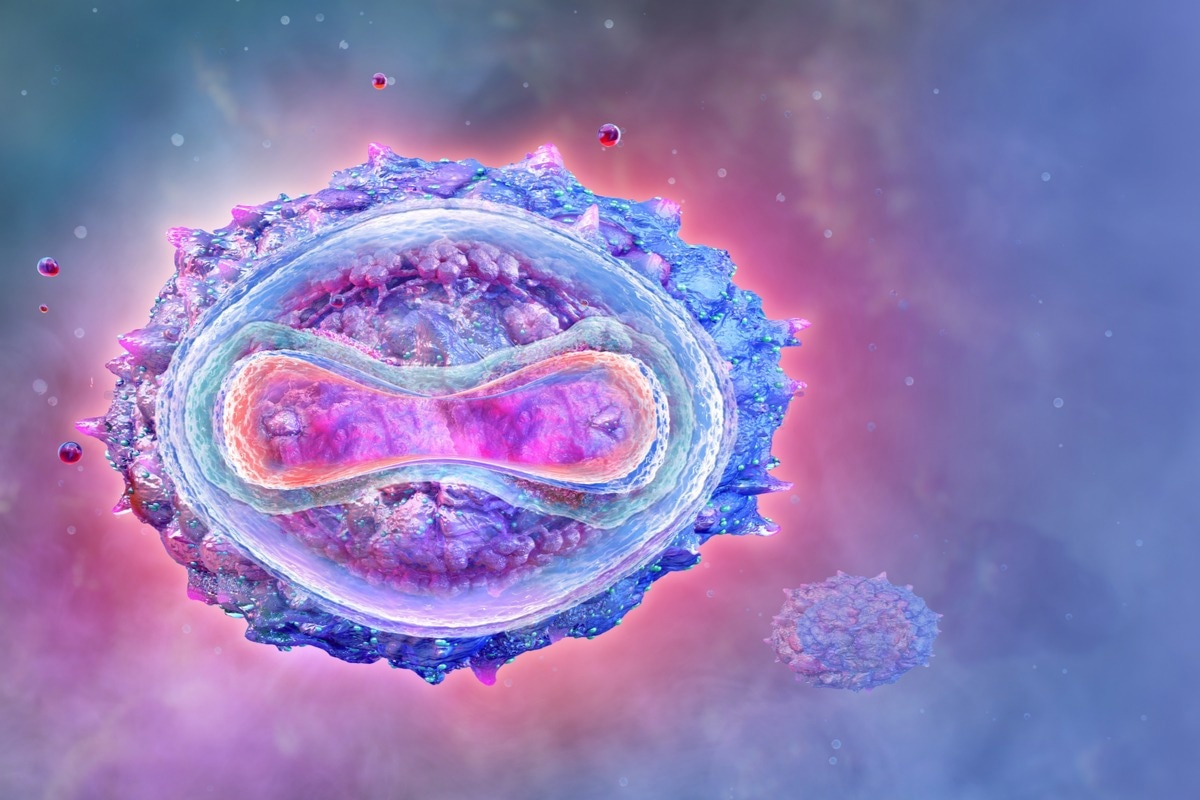 Study: New challenges in human monkeypox outside Africa: A review and case report from Italy. Image Credit: Corona Borealis Studio/Shutterstock