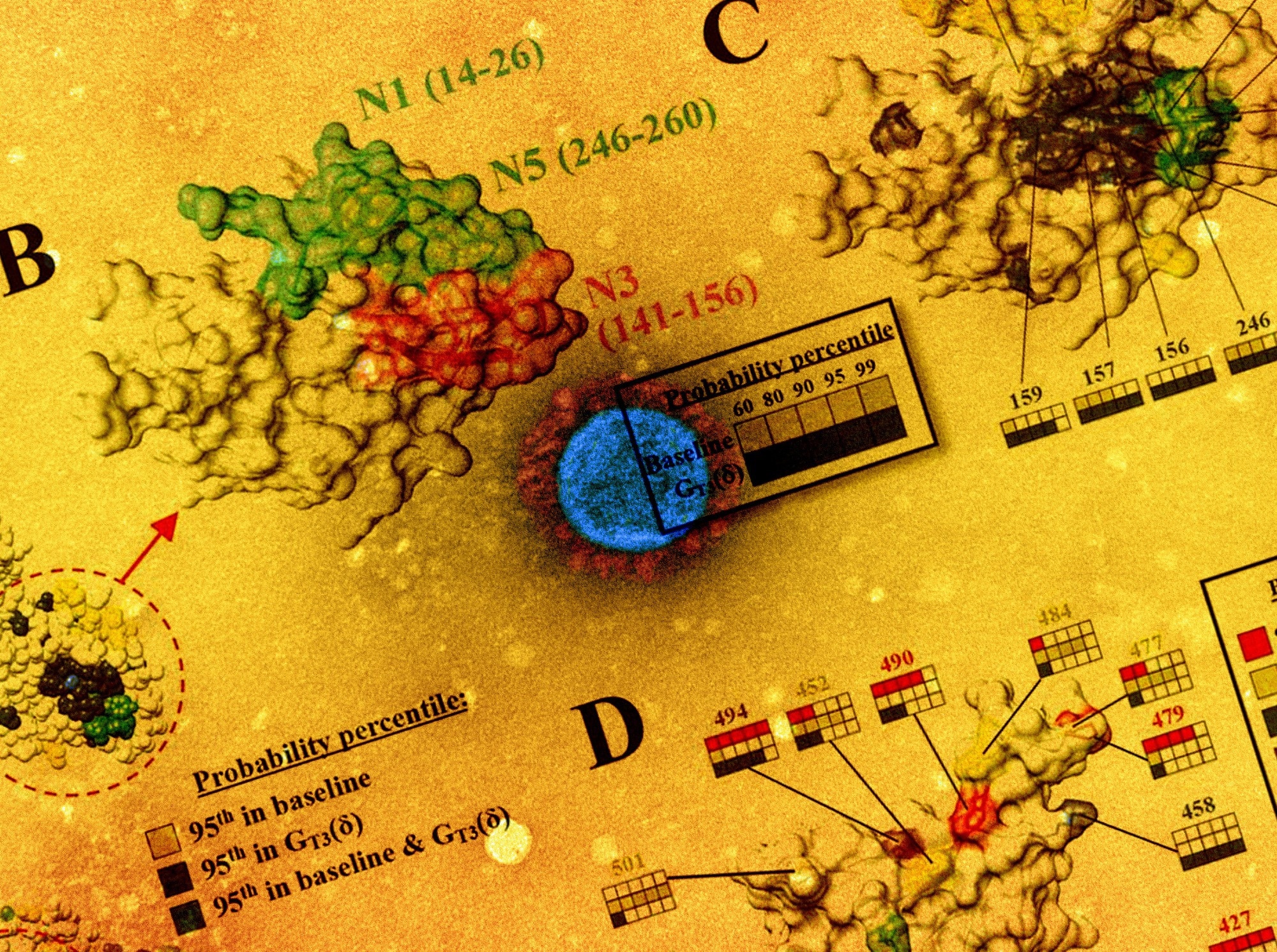 Study: A global lipid map reveals host dependency factors conserved across SARS-CoV-2 variants. Image Credit: NIAID