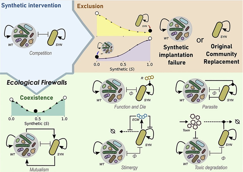 Ecological firewalls for synthetic biology