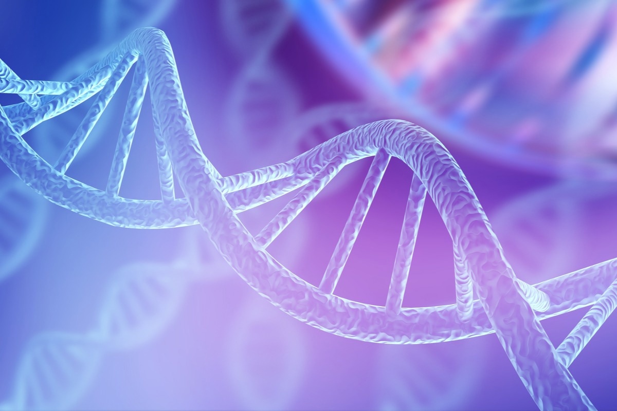 Study: Gene amplification acts as a molecular foothold to facilitate cross-species adaptation and evasion of multiple antiviral pathways. Image Credit: Billion Photos/Shutterstock