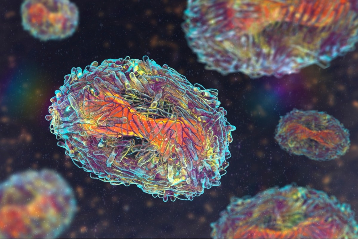 Study: A peculiar evolutionary feature of monkeypox virus. Image Credit: Kateryna Kon/Shutterstock