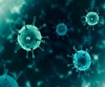 Scientists evaluate immunostimulatory glycolipid against SARS-CoV-2 infection