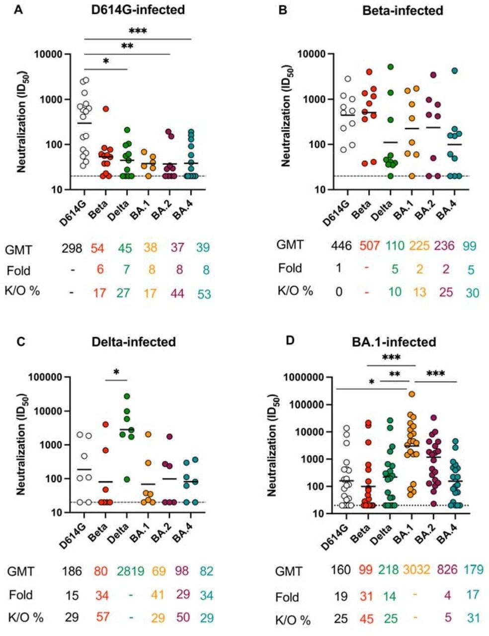 BA.4 neutralization escape varies by the infecting variant in unvaccinated convalescent individuals. Neutralization titer (ID50) in convalescent plasma from unvaccinated donors infected with (A) D614G, (B) Beta, (C) Delta and (D) Omicron BA.1. Plasma was tested against D614G, Beta, Delta, Omicron BA.1, BA.2 and BA.4. Lines indicate geometric mean titer (GMT) also represented below the plot with fold decrease and knock-out (K/O) of activity for other variants as a percentage relative to the infecting strain. Dotted lines indicate the limit of detection of the assay. Statistical significance across variants is shown by Friedman test with Dunn’s correction. *p<0.05; **p<0.01; ***p<0.001; ****p<0.0001 and ns = non-significant. All data are representative of two independent experiments.