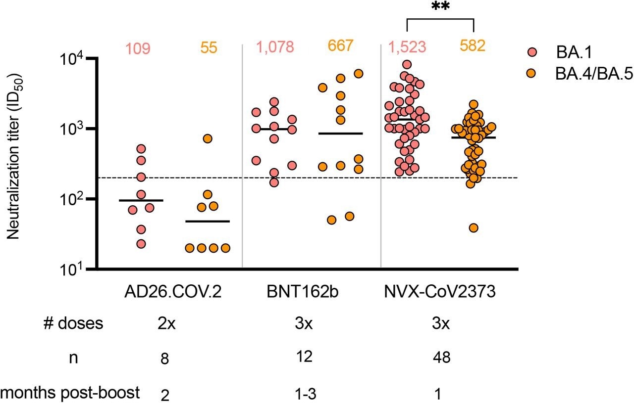 Neutralization of Omicron BA.1 and BA.4/BA.5 by boosted vaccinee plasma. Neutralization of Omicron BA.1 and BA.4/BA.5 by vaccinee plasma following 2 doses of the AD26.COV2S or 3 doses of the BNT162b2 or NVX-CoV2373 vaccines. Number of doses, number of samples and date of sample collection after boost for each group are indicated. Geometric mean titers (GMT) for each virus are shown above the individual points, P values were calculated using two-way ANOVA with p < 0,001 for AD26CoV2.S versus NXV-CoV2373 and p = 0,0011 for NVX-CoV2373 BA.1 versus BA.4/BA.5). Dashed line indicates the neutralization level at 20,2% of the mean convalescent level (ID50 = 200), which provides an estimated 50% protection against detectable SARS-CoV-2 infection per the analysis by Khoury et al15.