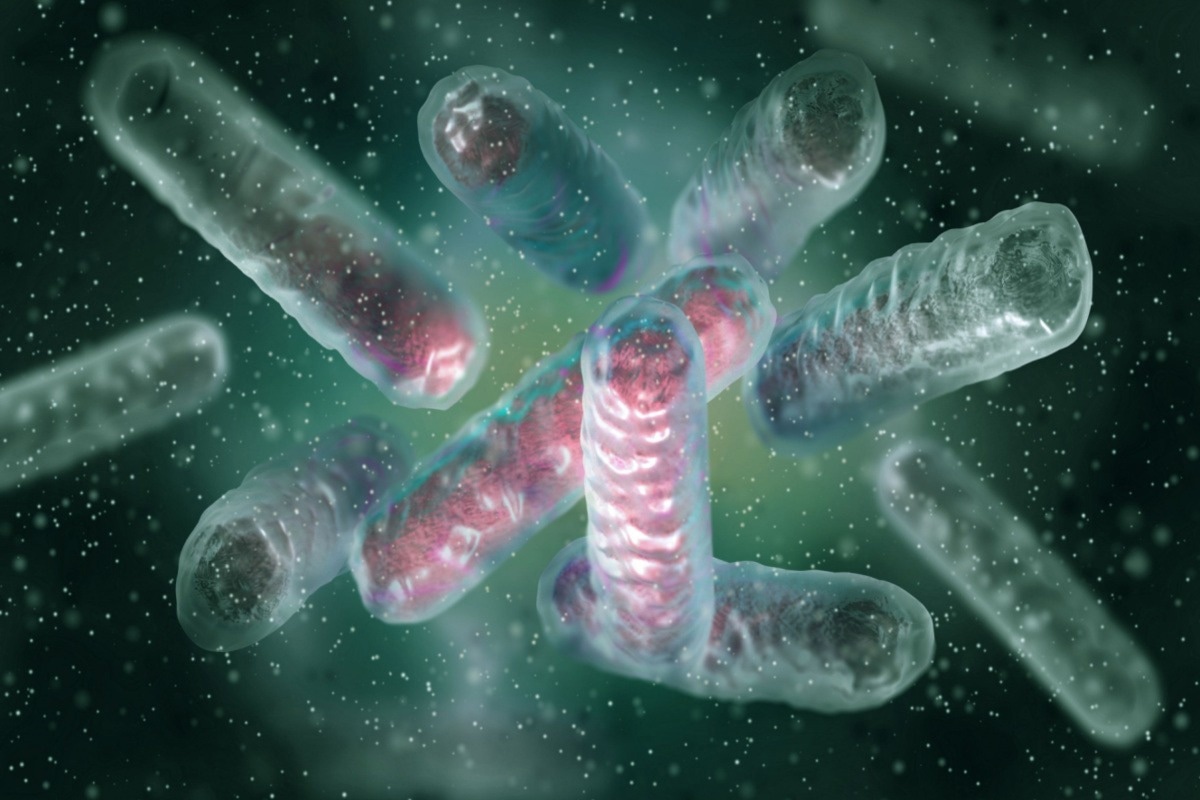 Study: Carbapenem-Resistant enterobacterales in individuals with and without health care risk factors —Emerging infections program, United States, 2012-2015. Image Credit: sokolova_sv/Shutterstock