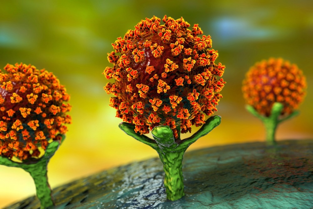 Study: High activity of an affinity-matured ACE2 decoy against Omicron SARS-CoV-2 and pre-emergent coronaviruses. Image Credit: Kateryna Kon/Shutterstock