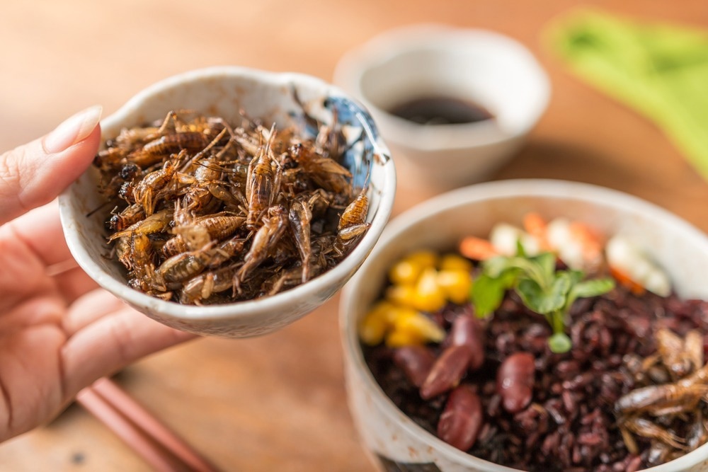 Study: Acceptance of Insect Foods Among Danish Children: Effects of Information Provision, Food Neophobia, Disgust Sensitivity, and Species on Willingness to Try. Image Credit: Charoen Krung Photography/Shutterstock