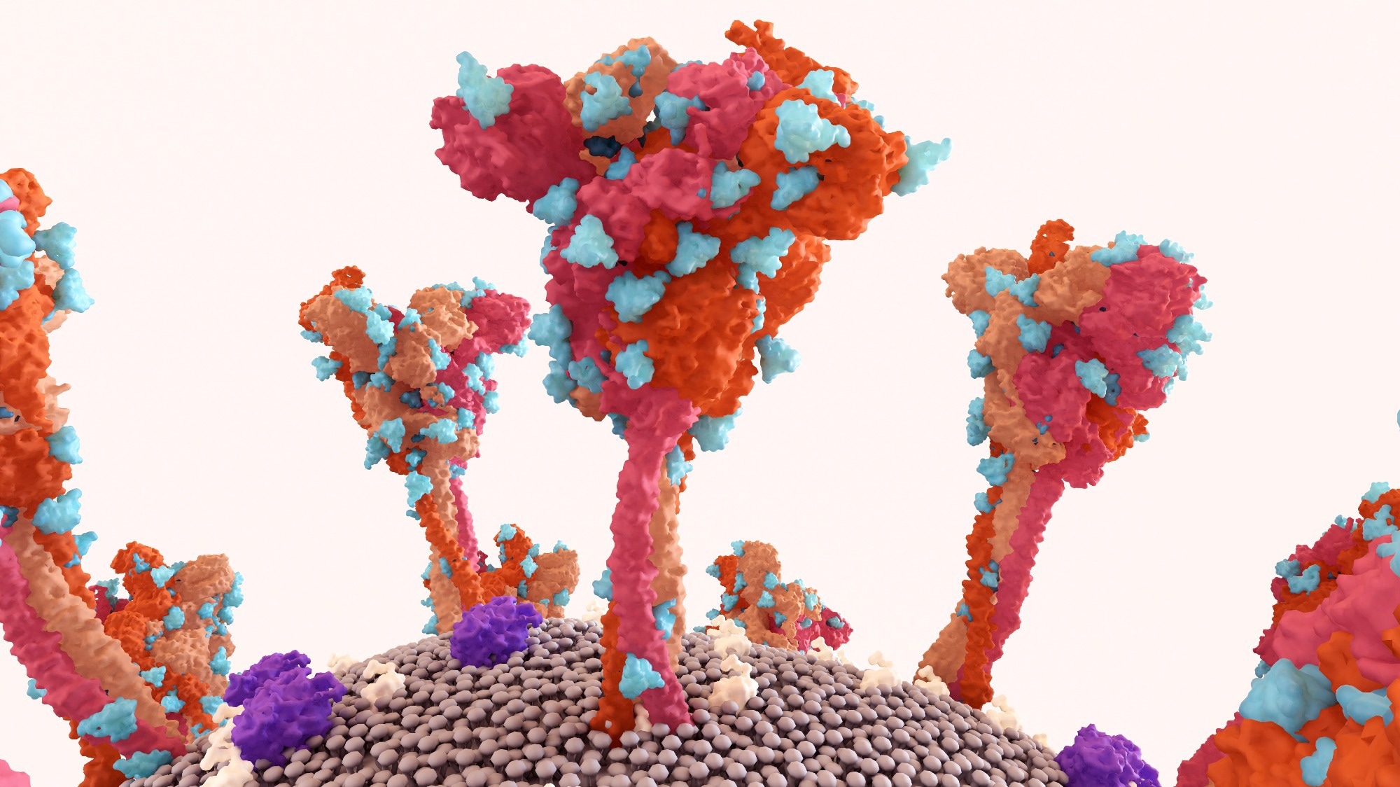 Study: Molecular engineering of a cryptic epitope in Spike RBD improves manufacturability and neutralizing breadth against SARS-CoV-2 variants. Image Credit: Design_Cells / Shutterstock