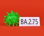 Increased Gibbs energy of binding indicates greater infectivity of SARS-CoV-2 BA.2.75