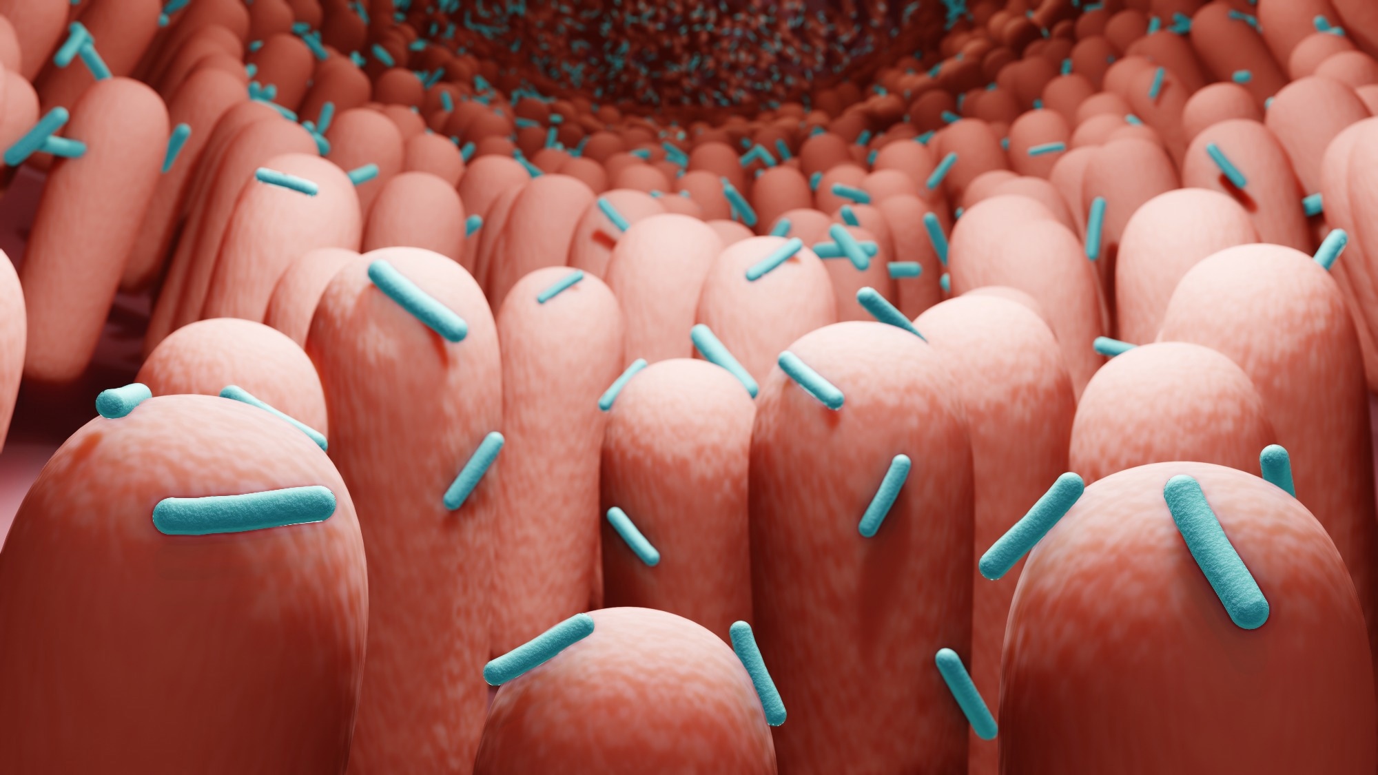 Study: The Gut Microbiome of Children during the COVID-19 Pandemic. Image Credit: ART-ur/Shutterstock