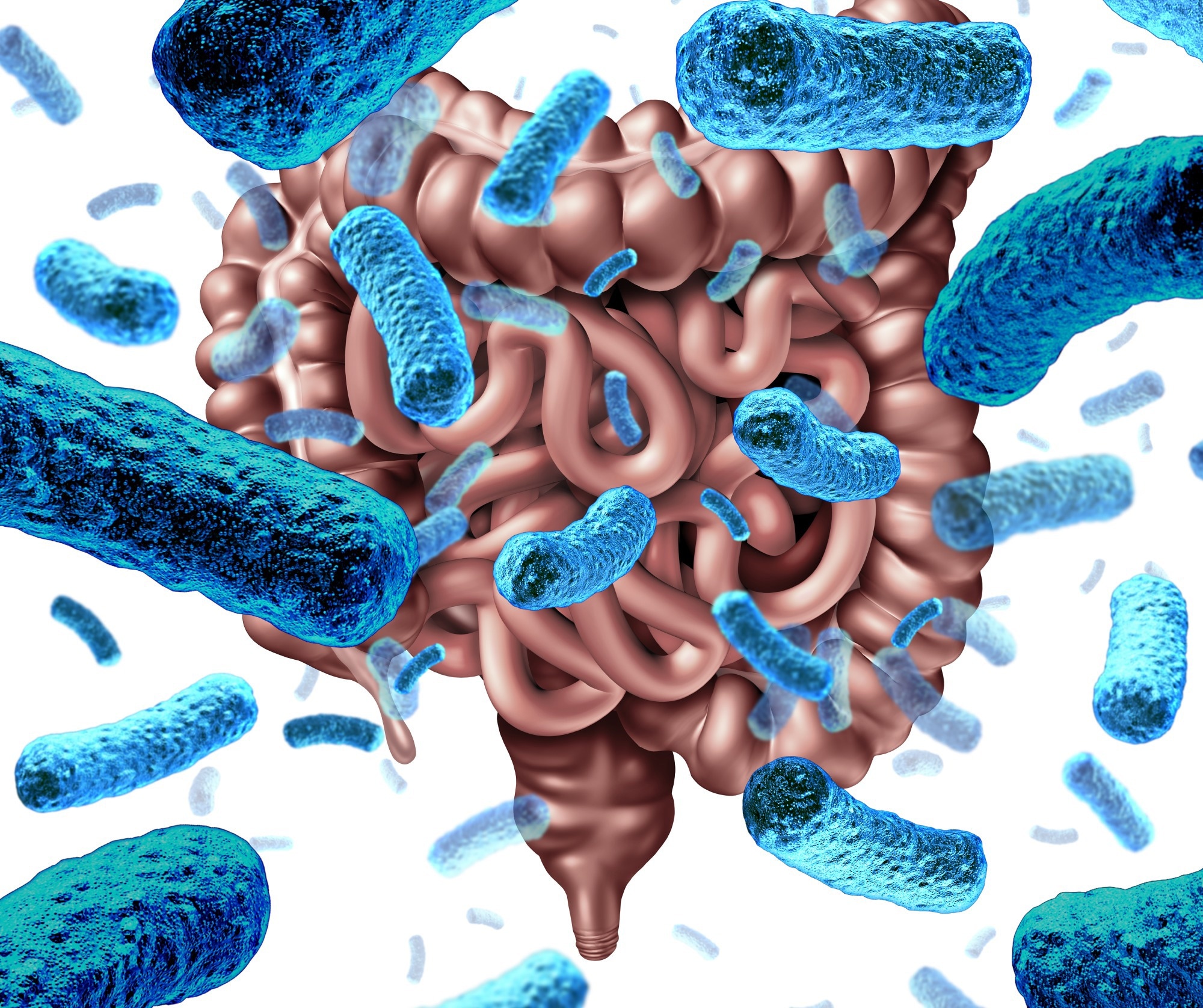 Study: Stool energy density is positively correlated to intestinal transit time and related to microbial enterotypes. Image Credit: Lightspring / Shutterstock