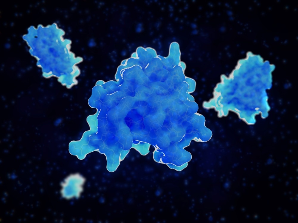 Study: Sex differences in hippocampal cytokine networks after systemic immune challenge. Image Credit: Juan Gaertner/Shutterstock