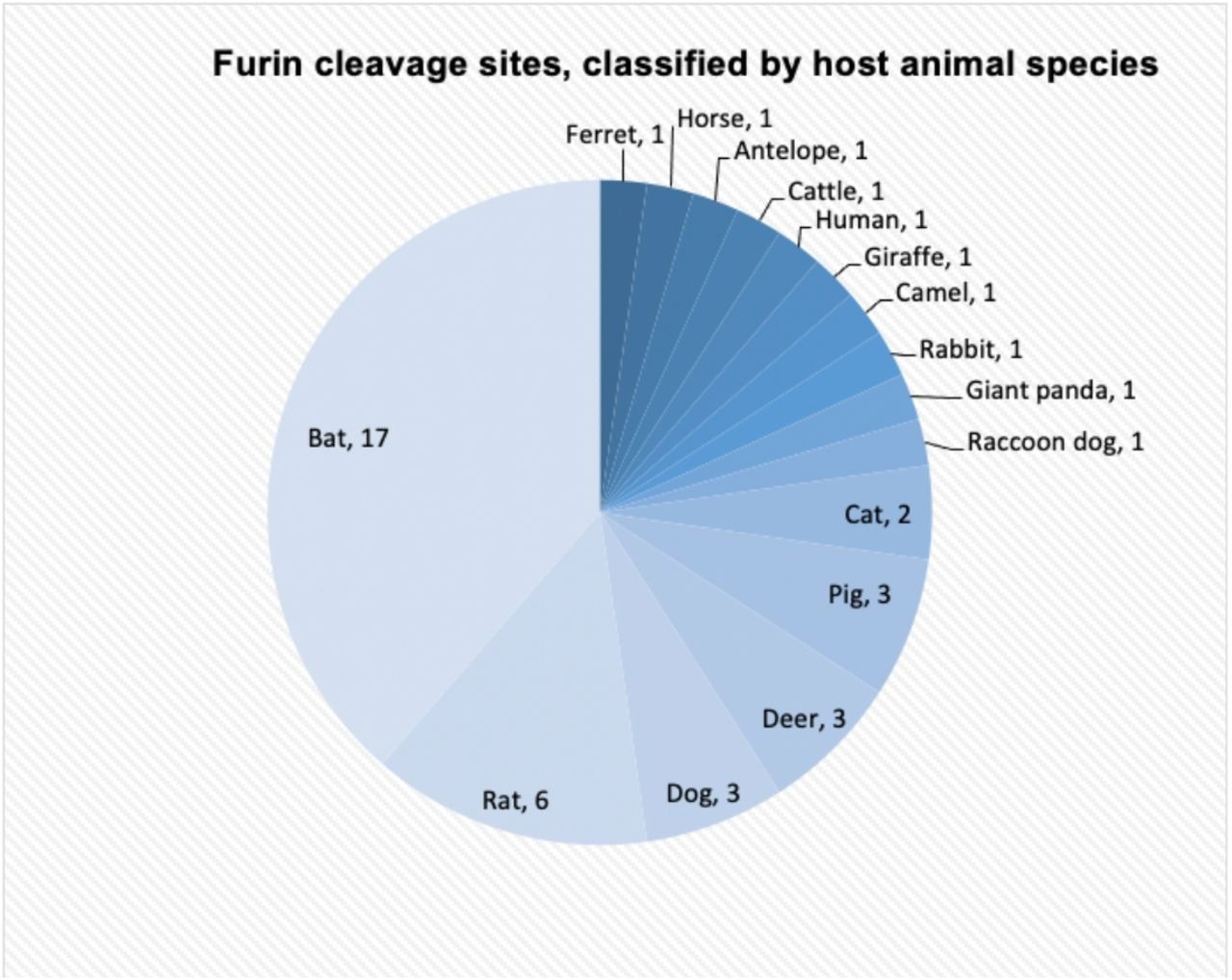 The number of alphacoronaviruses and betacoronaviruses with furin cleavage sites corresponding to their host animals. Most viruses are hosted by bats (17 strains).