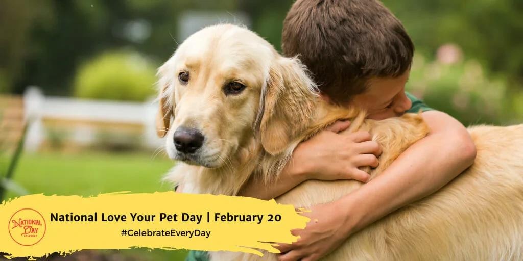 Pets can help improve mental health and wellbeing of residents in aged care