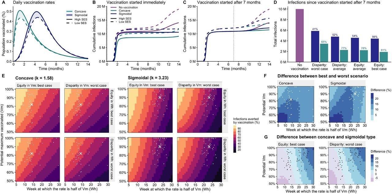 (A) Average daily vaccination rates for each type and SES group (per-country rates shown in fig. S13). In the sigmoidal type, the parameters for high SES are Vm = 89% and Wh = 23 weeks, while for low SES are Vm = 82.5% and Wh = 24 weeks. For both SES groups, k = 3.23, the average across SES. In the concave type, the parameters for high SES are Vm = 82.2% and Wh = 14 weeks while for low SES they are Vm = 75.5% and Wh = 15 weeks. For both SES groups, k = 1.58. (B) Cumulative cases per 10,000 with vaccination starting immediately. (C) Cumulative cases per 10,000 with vaccination starting at t = 7 months. (D) Cumulative cases per 10,000 after 14 months under 4 scenarios of sociocioeconomic disparity: disparity: average, disparity: worst case (95th percentile), equity: average (averaging high SES and low SES parameters), and equity: best case (assuming vaccination of the low SES group follow the same parameters as the high SES group. (E) Cases averted by vaccination. Keeping k = 1.58 for concave and k = 3.23 for sigmoidal, we fixed the low SES parameters at a constant disparity from high SES based on the 95th percentiles of the observed data (ΔVm = 21%, ΔWh = 6 weeks), or considered low SES parameters equal to high SES (equity) (fig. S16). The effect of varying parameter k can be found in figure S17. (F) The difference in cases averted under the best-case equity scenario and worst-case disparity, for both concave and sigmoidal types. (G) The difference in cases averted under concave versus sigmoidal types, for both best-case equity and worst-case disparity. Average high SES parameters are illustrated with a cross, while country-specific parameters for high SES are shown with dots. Model parameters are listed in table S5.