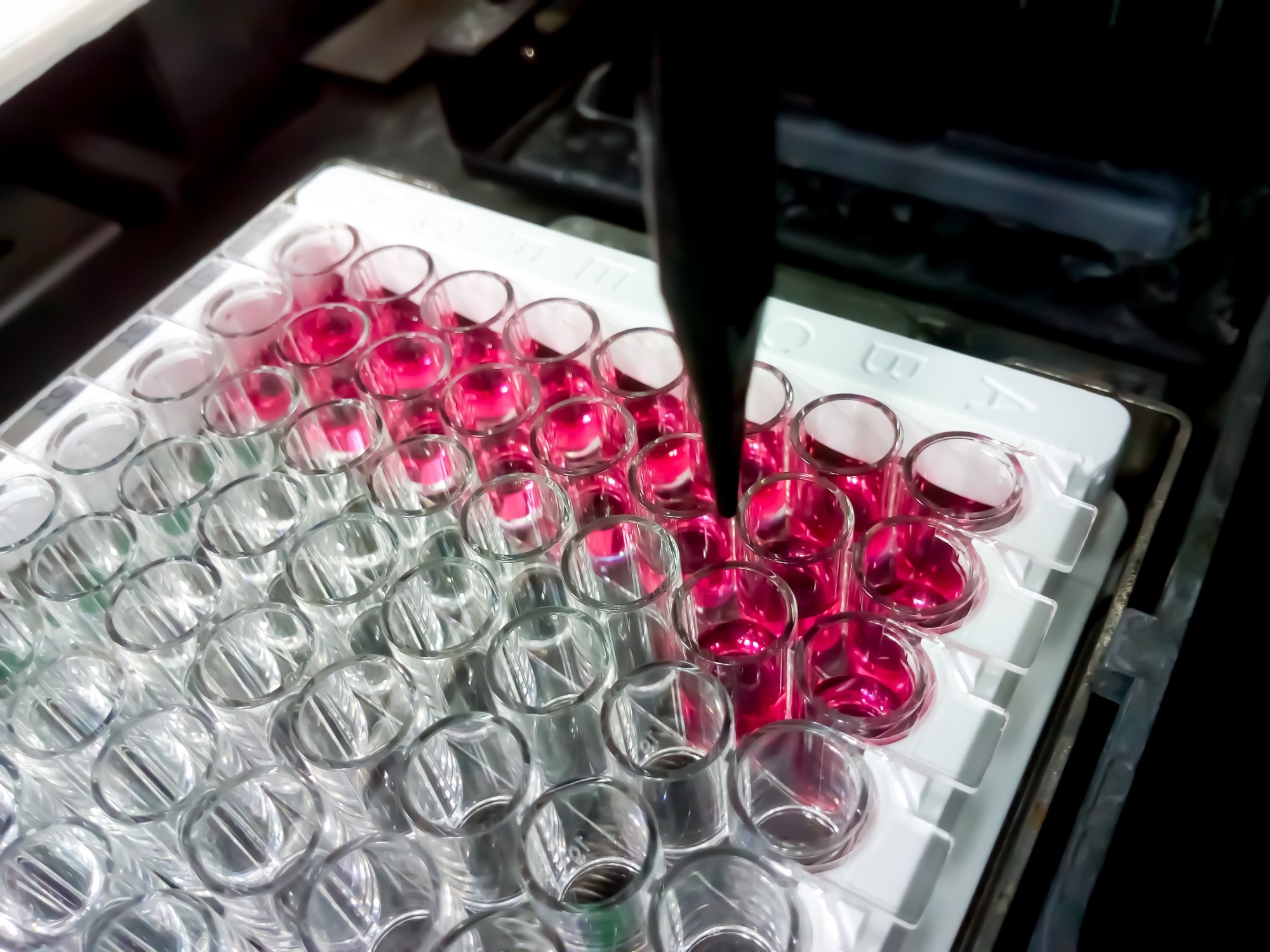 Study: Development of monoclonal antibody-based blocking ELISA for detecting SARS-CoV-2 exposure in animals. Image Credit: Saiful52 / Shutterstock