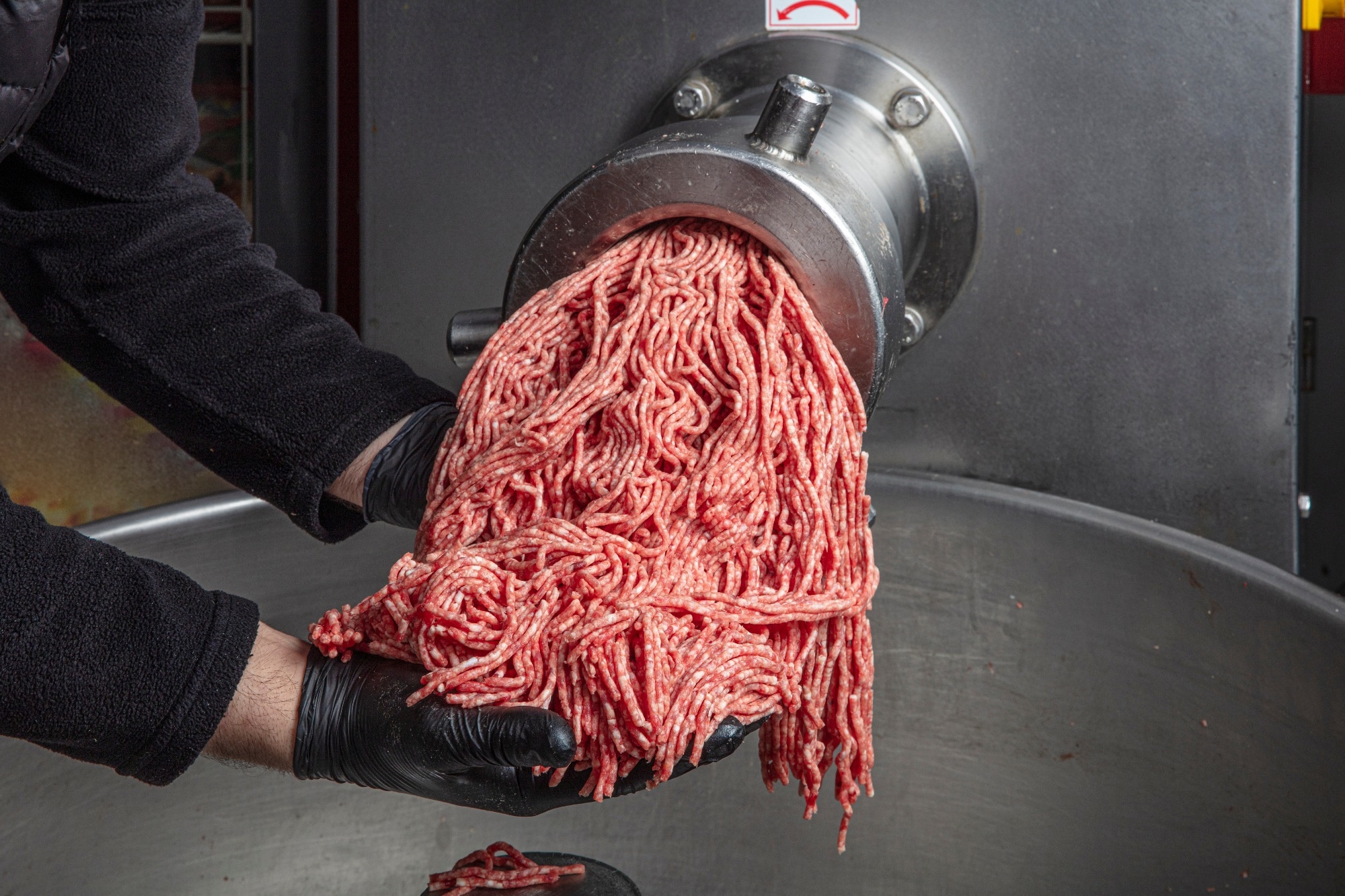 Assessment of Vascular Function in Response to High-Fat and Low-Fat Ground Beef Consumption in Men