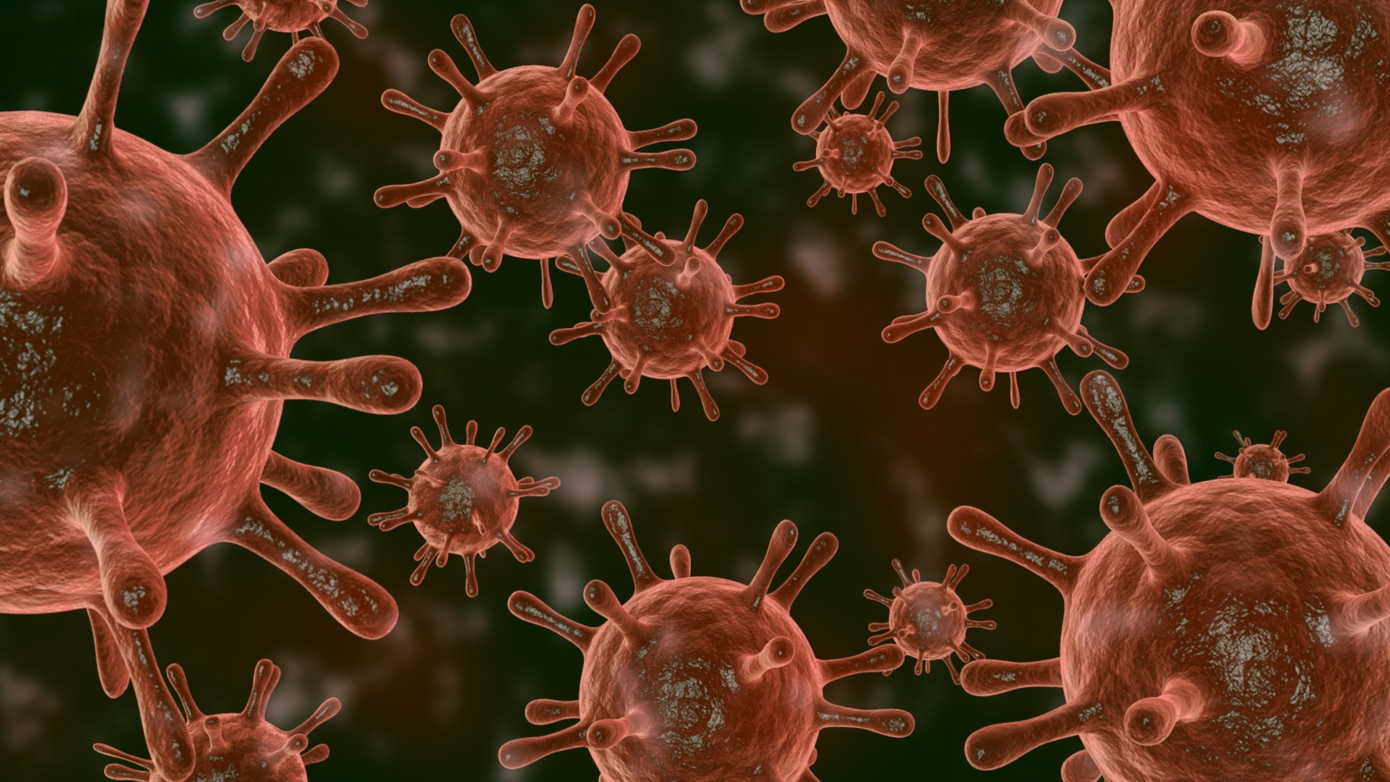 Study: SARS-CoV-2 utilization of ACE2 from different bat species allows for virus entry and replication in vitro. Image Credit: Olena.Hypnosis / Shutterstock.com