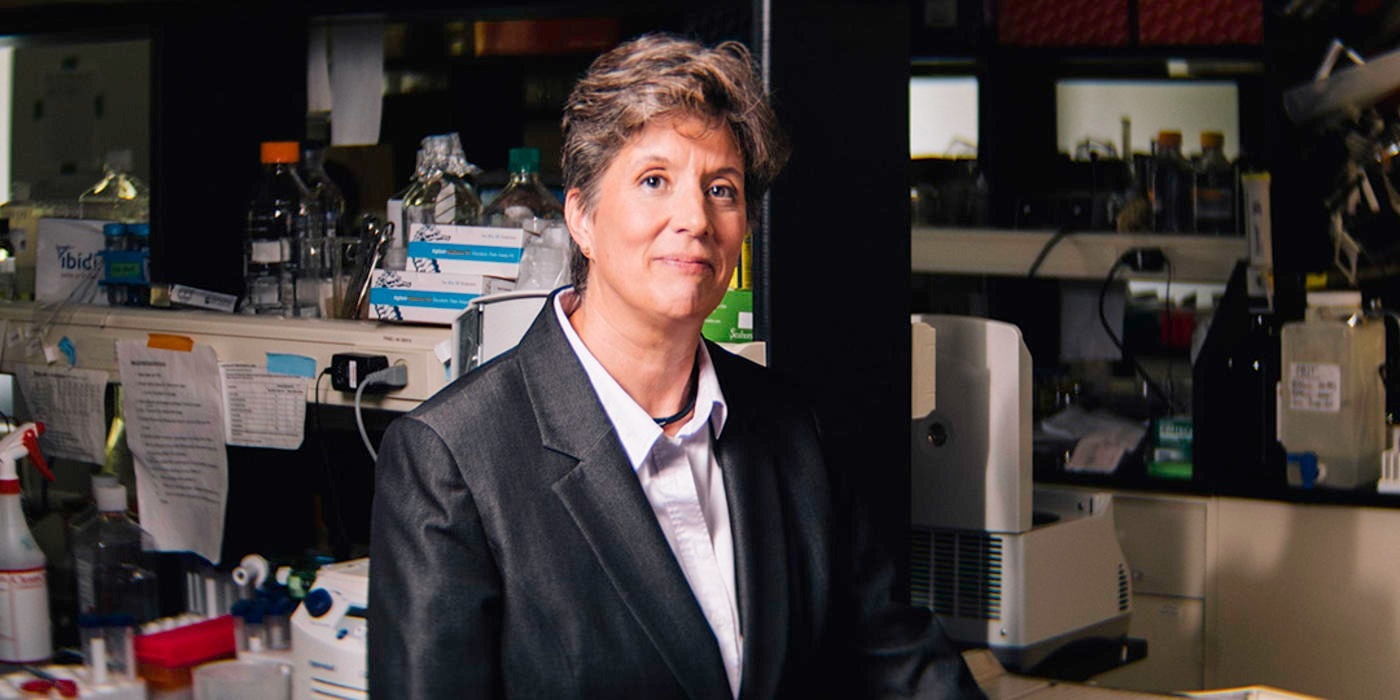 Wistar scientists uncover a key mechanism as to how p53 suppresses tumors