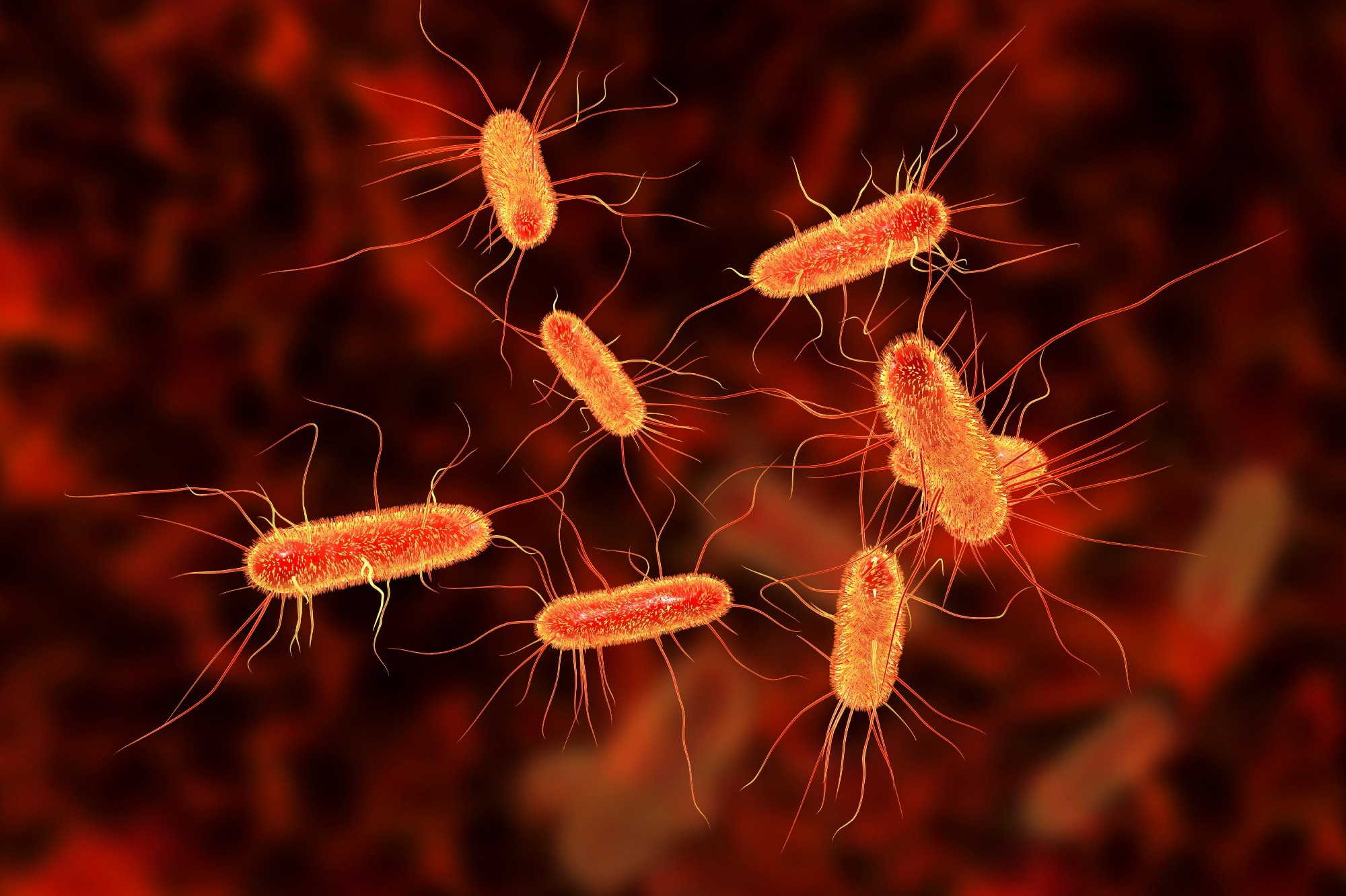 Rapid communication: Rapid cross-border emergence of NDM-5-producing Escherichia coli in the European Union/European Economic Area, 2012 to June 2022. Image Credit: Kateryna Kon / Shutterstock
