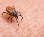 The discovery of a novel orthonairovirus from Dermacentor silvarum ticks near the China–North Korea border