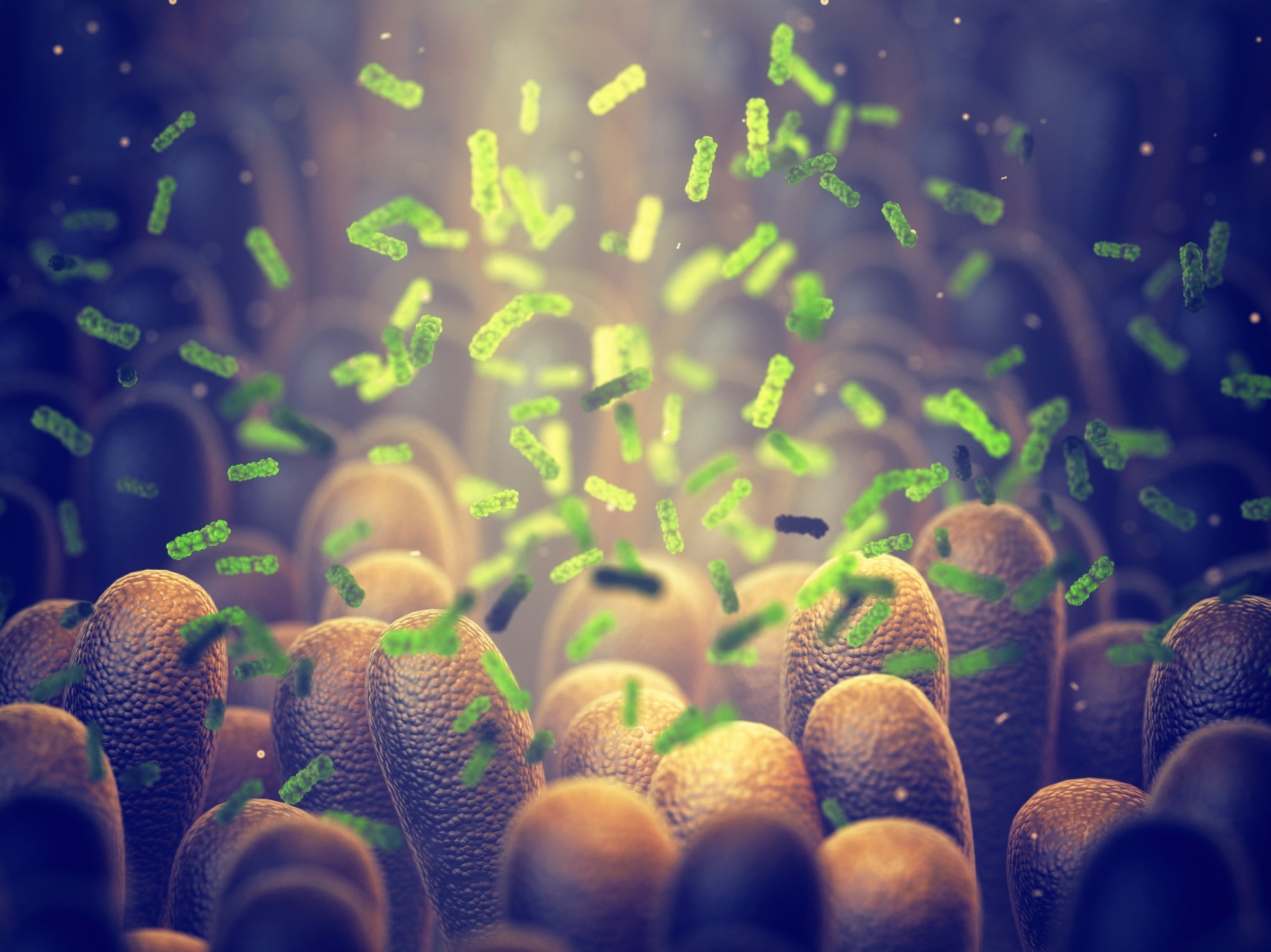 Study: Modulation of the gut microbiome with nisin. Image Credit: nobeastsofierce / Shutterstock.com