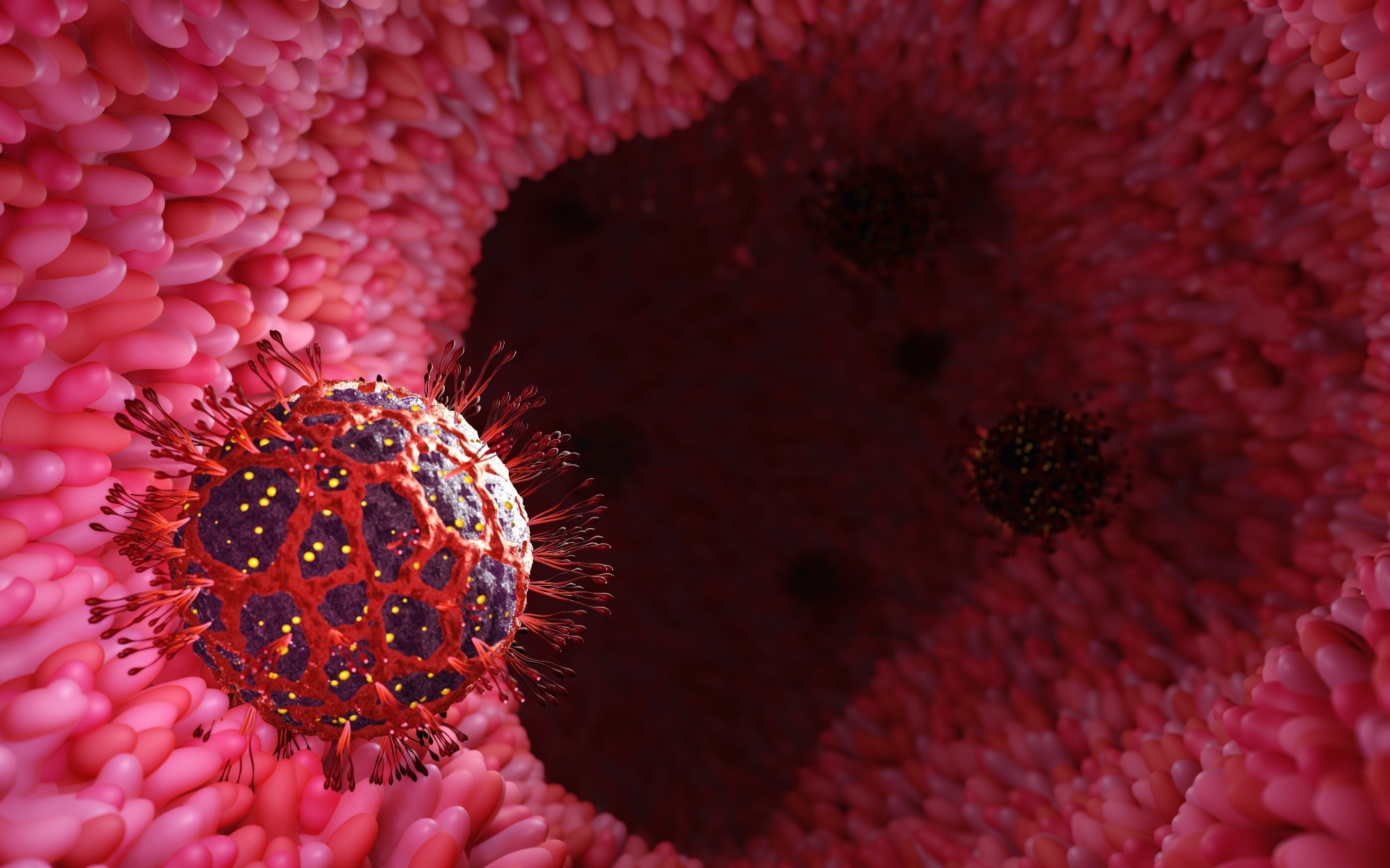 Study: Functional Foods: A Promising Strategy for Restoring Gut Microbiota Diversity Impacted by SARS-CoV-2 Variants. Image Credit: ridersuperone / Shutterstock.com