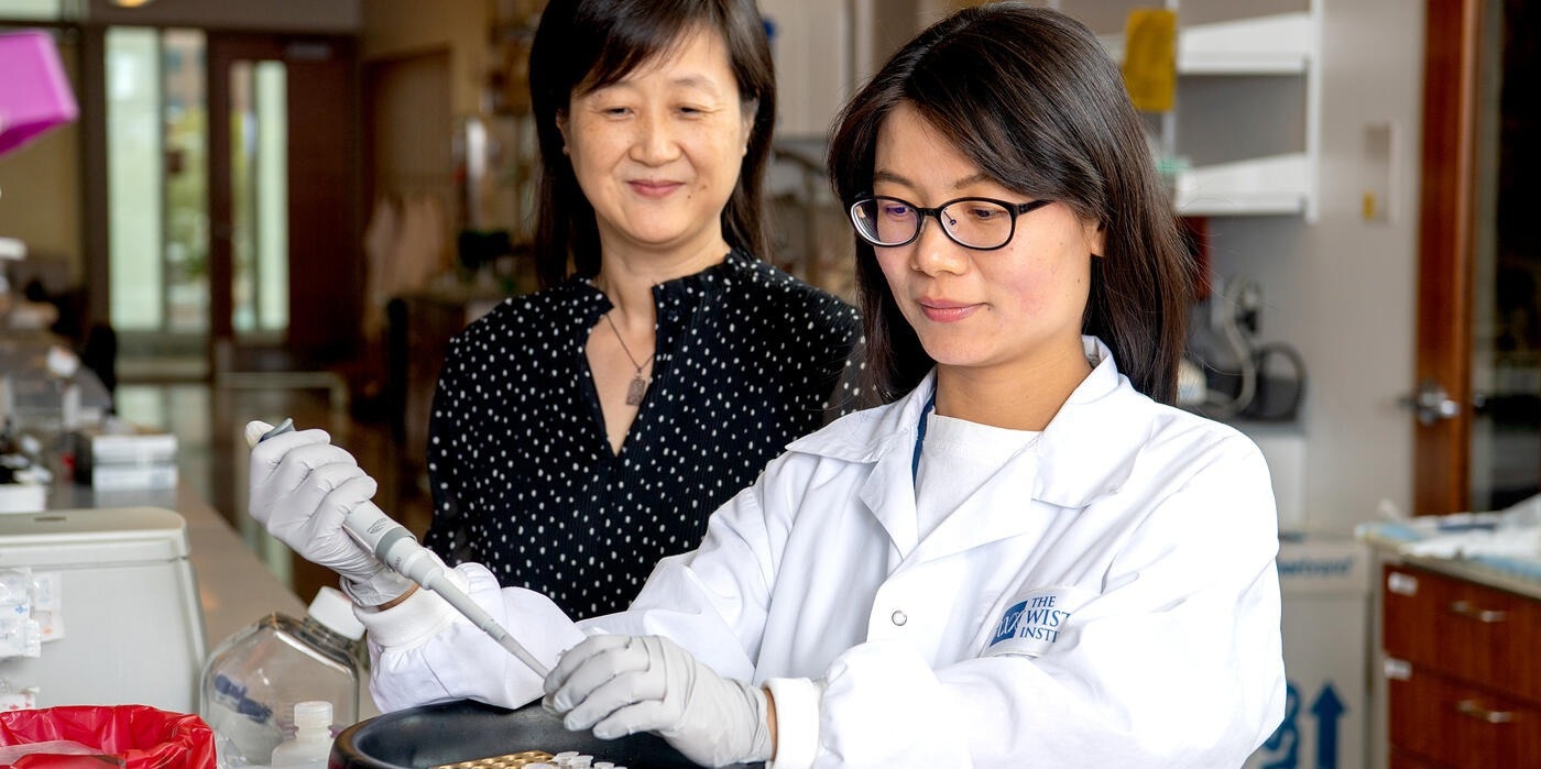 Breakthrough discovery could lead to new treatments for brain metastases