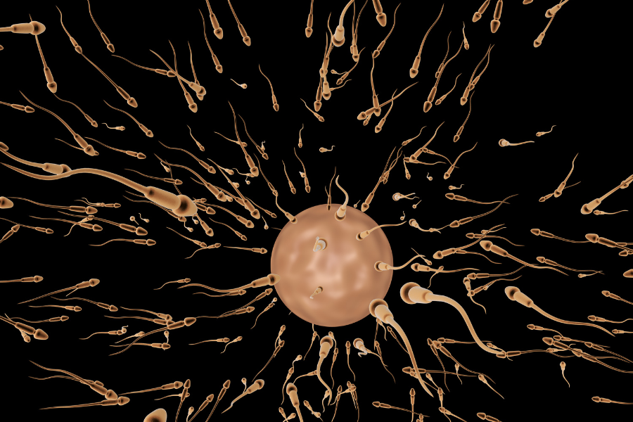 OVUM highlights the potential of AI in revolutionizing IVF