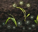 Is soil mineral content impacting human growth and nutrition?