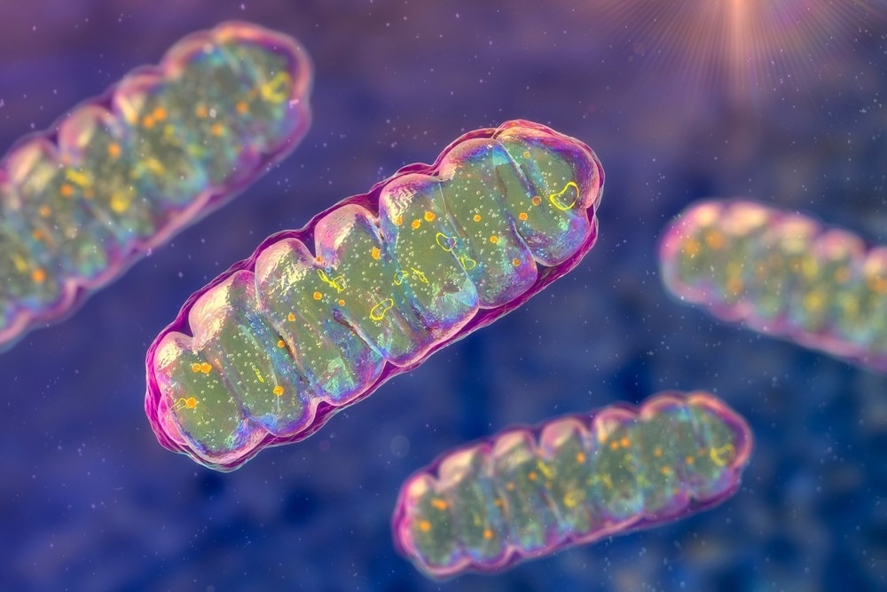 Study: Mitochondria-associated programmed cell death as a therapeutic target for age-related disease. Image Credit: Kateryna Kon/Shutterstock.com