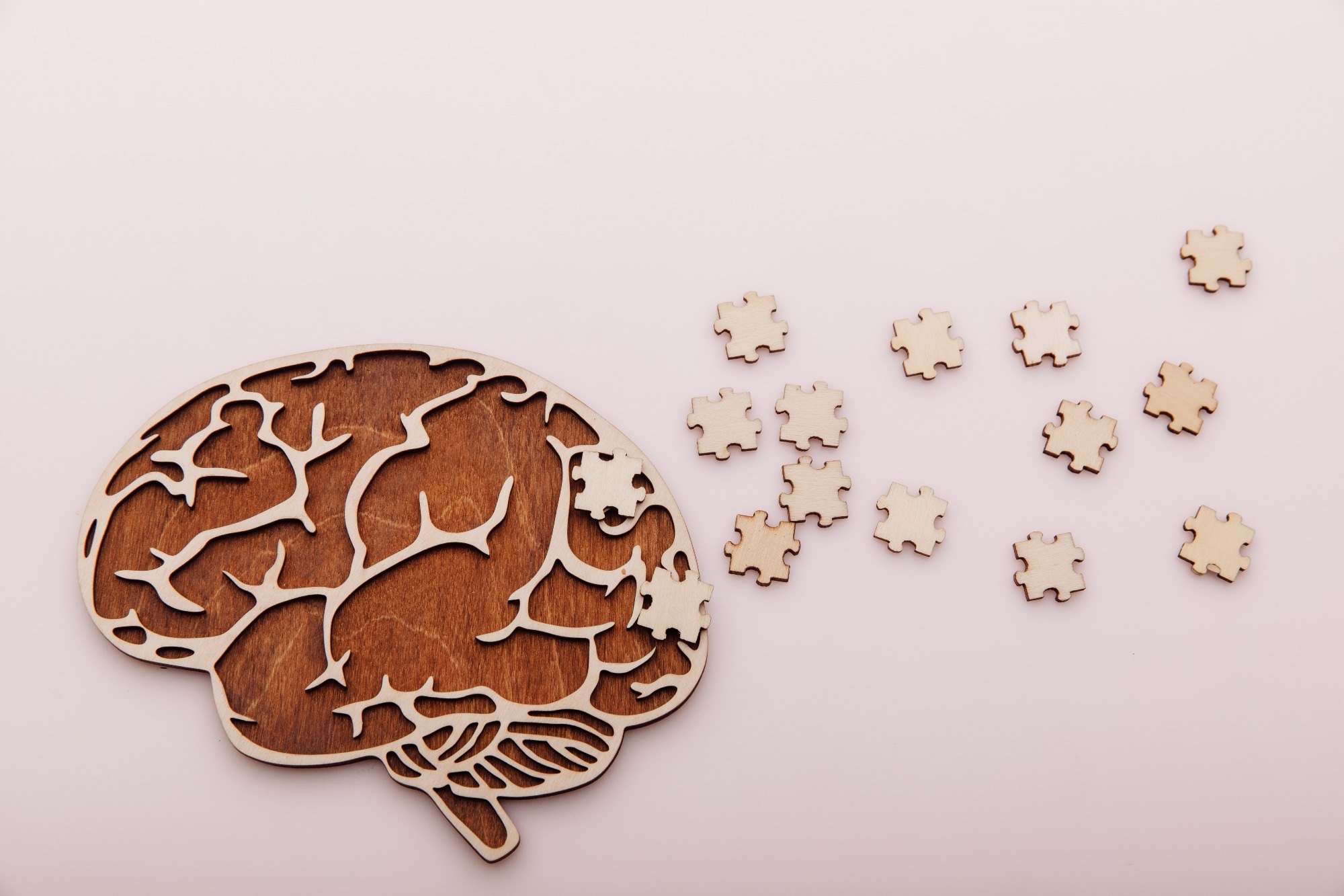 Study: Association between dietary inflammatory index score and incident dementia: results from the Framingham heart Study offspring cohort. Image Credit: Burdun Iliya / Shutterstock