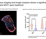 Investigating IDO1 and PDL1: Key immune checkpoints in cutaneous leishmaniasis research