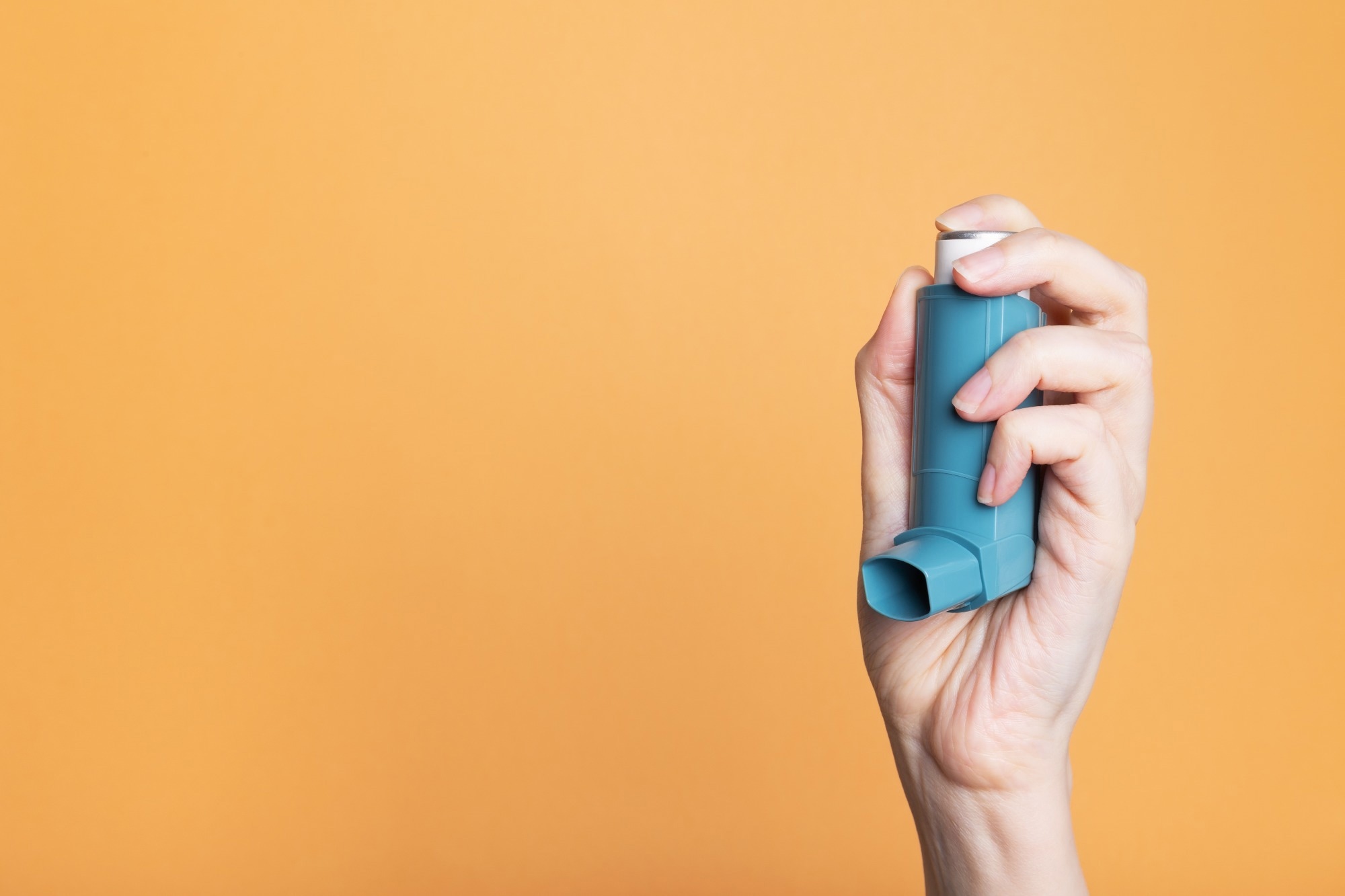 Study: The potential immunomodulatory role of the gut microbiota in the pathogenesis of asthma: an in vitro study. Image Credit: Rybalchenko Nadezhda/Shutterstock.com