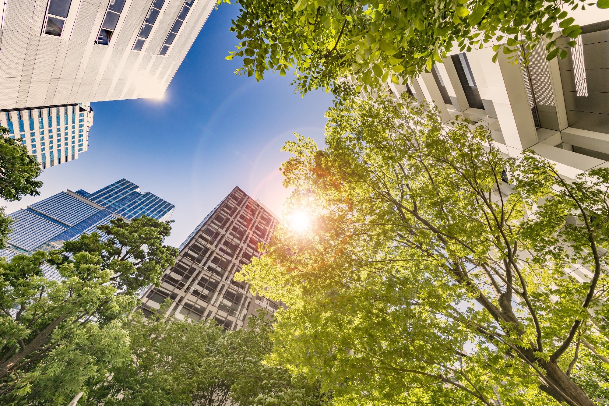 Study: Reassessing the role of urban green space in air pollution control. Image Credit: taka1022 / Shutterstock